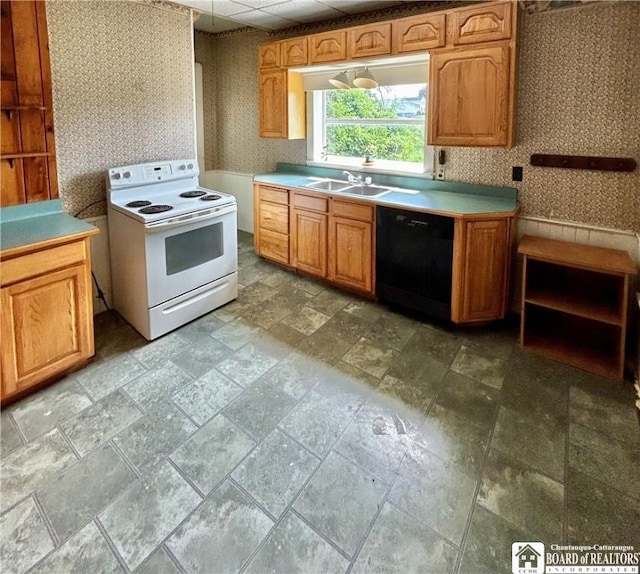 kitchen featuring sink, electric range, and dishwasher