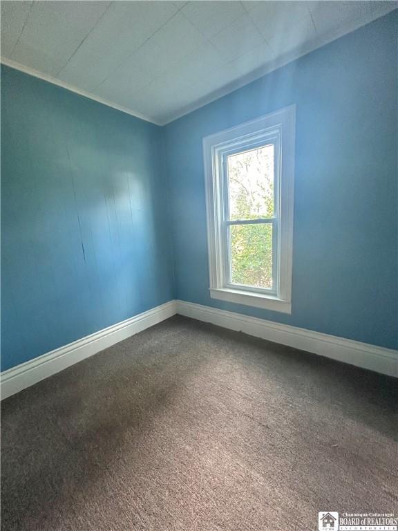 spare room featuring carpet flooring