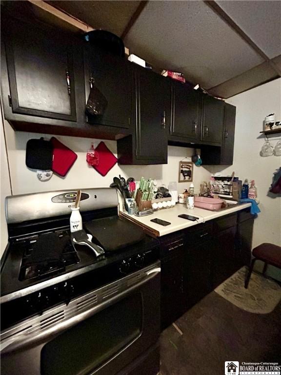 kitchen featuring stainless steel stove