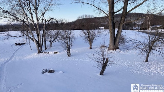 view of snowy yard