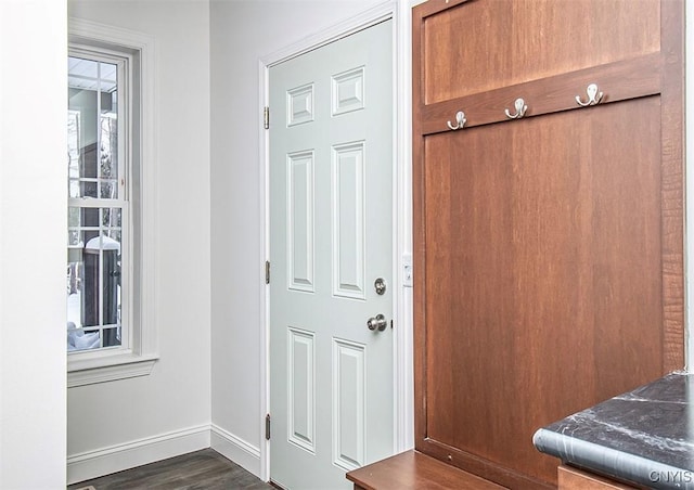 mudroom featuring dark hardwood / wood-style floors