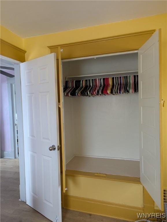 view of closet