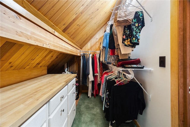 11995 E Lake Rd, Wayne, NY 14840 - spacious closet with vaulted ceiling and dark colored carpet
