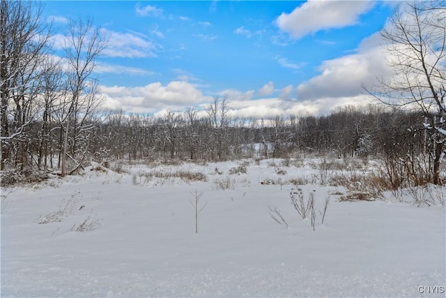 view of snow covered land