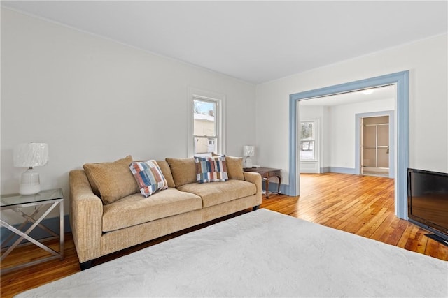 living room with hardwood / wood-style flooring