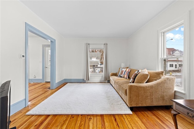 living room featuring a wealth of natural light and light wood-type flooring