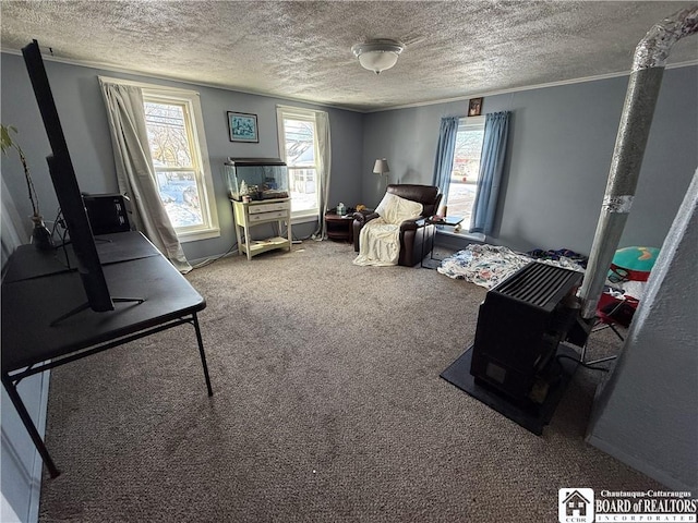 interior space with a textured ceiling, a healthy amount of sunlight, and carpet