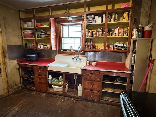 interior space featuring dark hardwood / wood-style flooring and sink