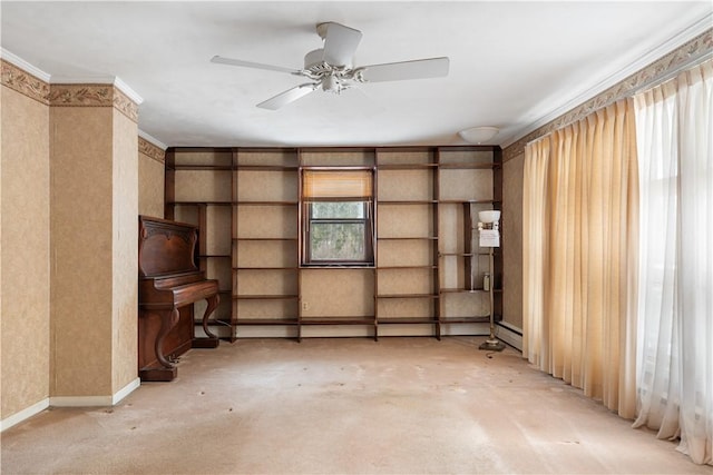 storage featuring ceiling fan