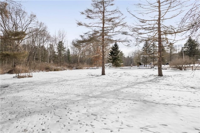 view of snowy yard