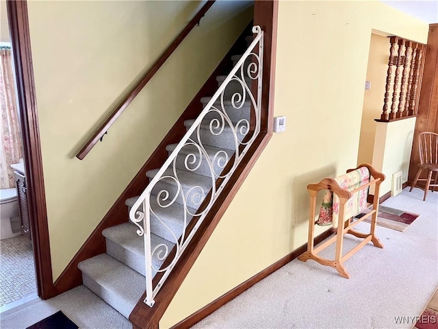 stairway featuring carpet floors