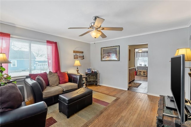 living room featuring ornamental molding, ceiling fan, and light wood-type flooring