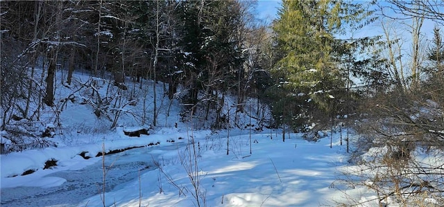 view of snow covered land