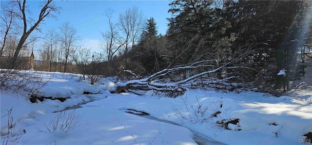 view of yard layered in snow