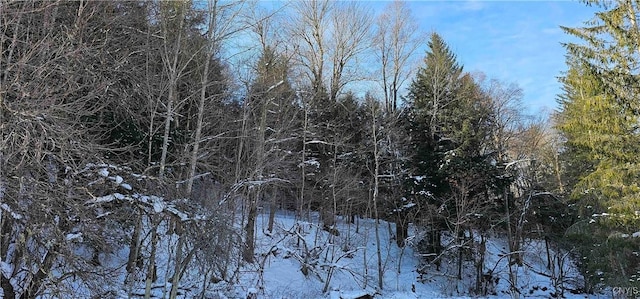 view of snowy landscape