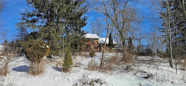 view of yard layered in snow