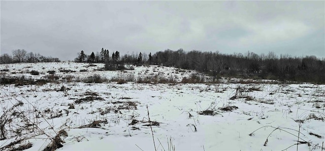 view of snowy view