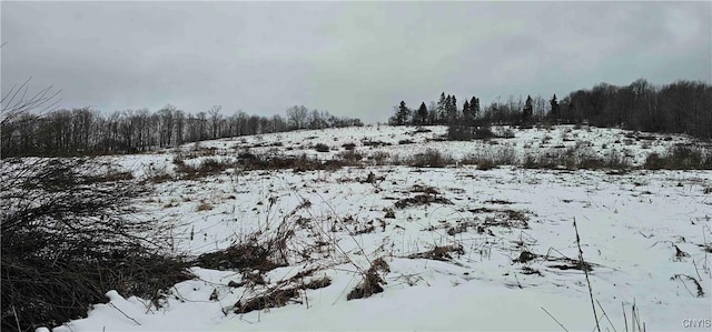 view of yard layered in snow