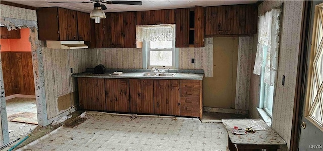 kitchen with sink, dark brown cabinets, and ceiling fan