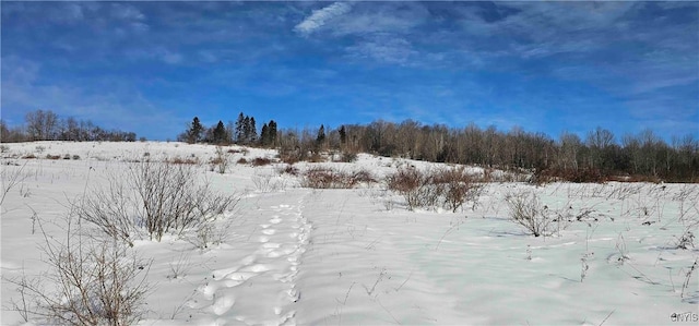 view of snowy landscape