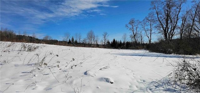 view of snowy yard