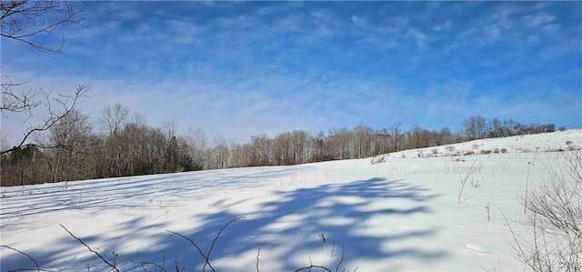 view of yard layered in snow