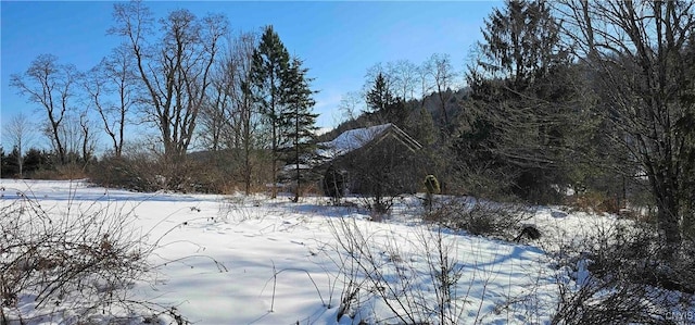 view of yard covered in snow