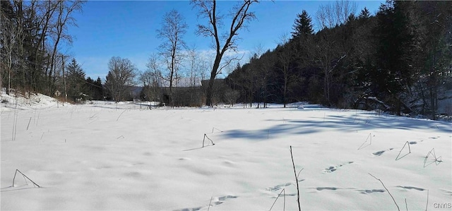 view of snowy yard