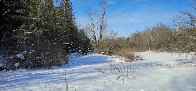 view of snow covered land