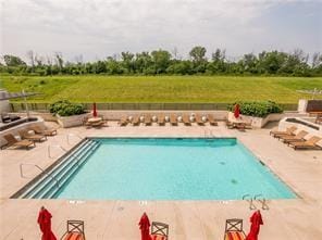 view of swimming pool featuring a patio