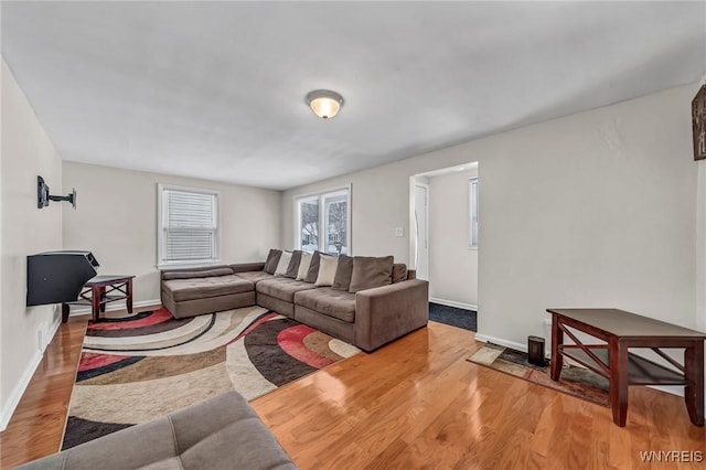 living room featuring wood-type flooring