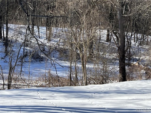 view of yard covered in snow