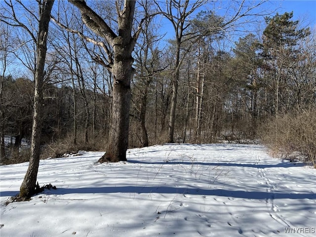 view of yard covered in snow