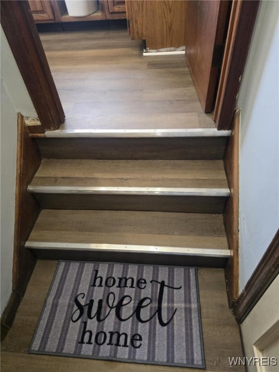 stairs with hardwood / wood-style flooring