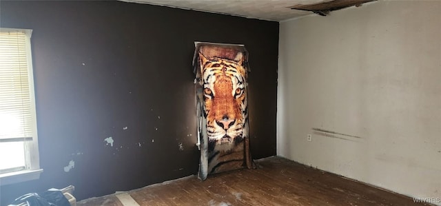 empty room featuring dark hardwood / wood-style floors