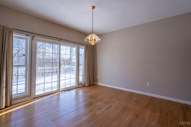 empty room with hardwood / wood-style flooring