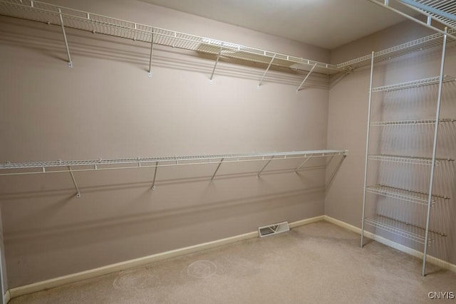 walk in closet with carpet floors