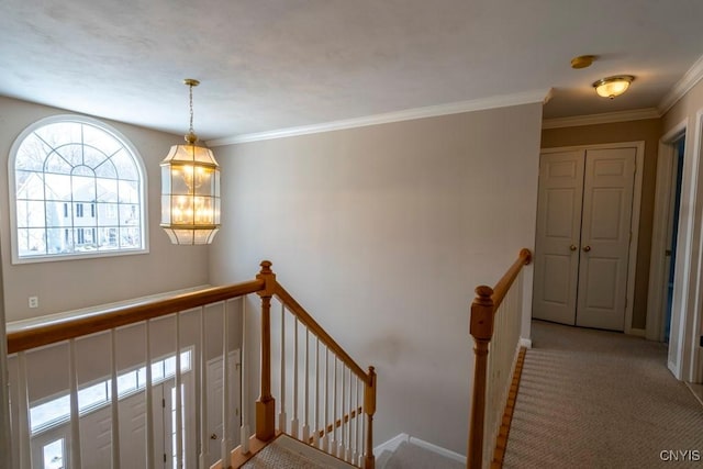 stairs featuring ornamental molding, carpet, and a notable chandelier