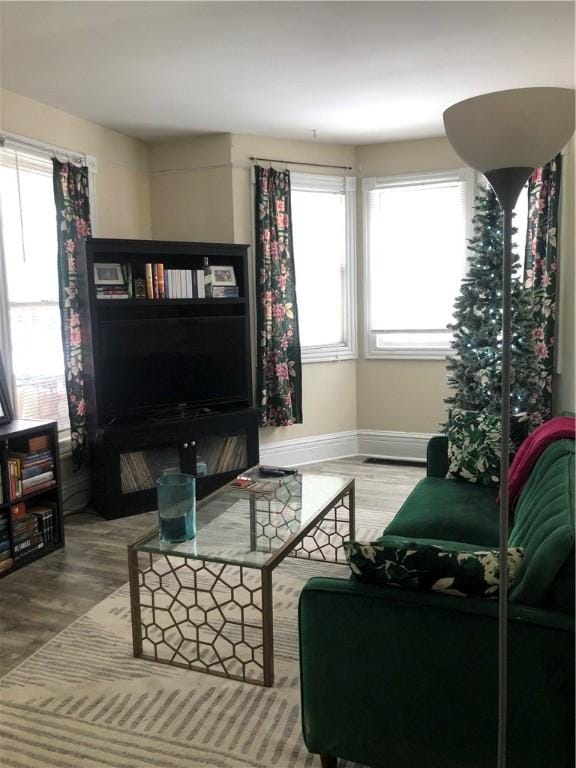 living room with hardwood / wood-style flooring