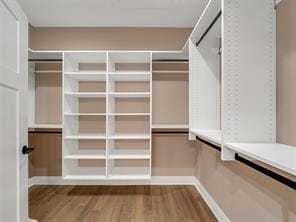 walk in closet featuring wood-type flooring