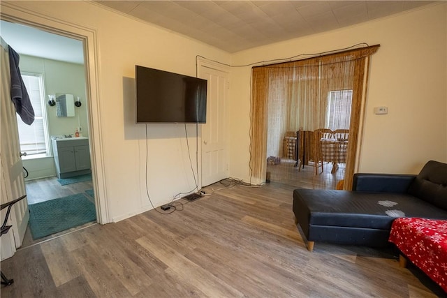 living room with light wood-type flooring