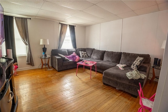 living room featuring hardwood / wood-style floors and a paneled ceiling