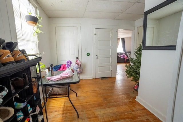 hallway featuring a paneled ceiling and wood-type flooring