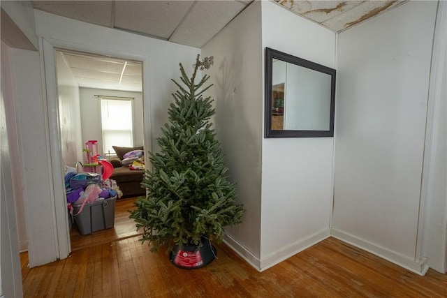 hall featuring hardwood / wood-style flooring and a paneled ceiling