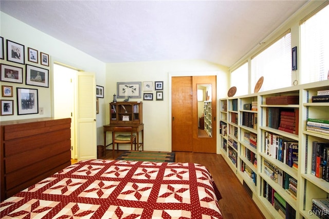 bedroom featuring lofted ceiling and dark wood-type flooring