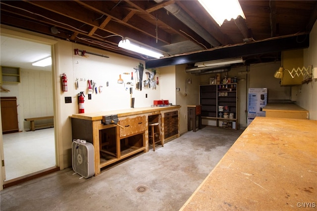 basement featuring a workshop area