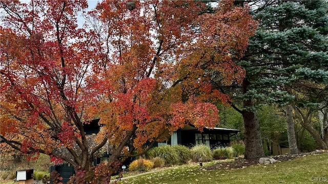 exterior space with a lawn