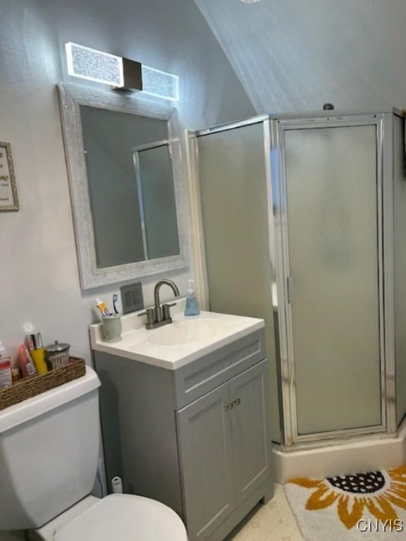 bathroom with vanity, an enclosed shower, and toilet