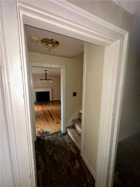 hallway featuring hardwood / wood-style floors