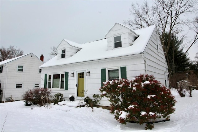 view of cape cod home